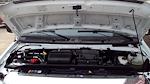 Used 2022 Ford E-350 Box Van for sale #5870X - photo 31