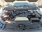 2023 Ford F-150 SuperCrew Cab 4WD Pickup for sale #06417R - photo 28