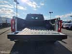2024 Ford F-350 Crew Cab DRW 4WD Pickup for sale #06418R - photo 25