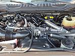 2017 Ford F-250 Crew Cab 4x4 Pickup for sale #250363A - photo 29