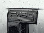 2025 Ford F-150 SuperCrew Cab 4x4 Pickup for sale #T250087 - photo 24