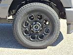 New 2025 Ford F-250 XLT Crew Cab 4x4 Pickup for sale #T250170 - photo 6