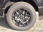 New 2025 Ford F-150 STX Super Cab for sale #T250457 - photo 5