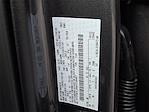 New 2025 Ford F-150 XLT SuperCrew Cab for sale #T250587 - photo 19