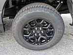 New 2025 Ford F-150 XLT SuperCrew Cab for sale #T250587 - photo 5