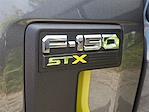 2025 Ford F-150 Super Cab 4WD Pickup for sale #T250598 - photo 18