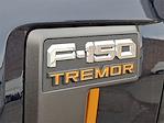 2025 Ford F-150 SuperCrew Cab 4WD Pickup for sale #T250693 - photo 18