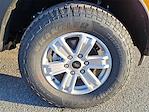 New 2025 Ford Ranger XL SuperCrew Cab for sale #T250699 - photo 5