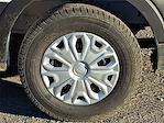 New 2026 Ford Transit 250 Low Roof Empty Cargo Van for sale #T260033 - photo 5