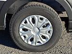 New 2026 Ford Transit 250 Low Roof Empty Cargo Van for sale #T260053 - photo 5