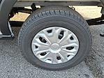 2026 Ford Transit 250 Low Roof RWD Empty Cargo Van for sale #T260095 - photo 6