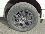 New 2026 Ford F-150 STX Super Cab for sale #T260154 - photo 5