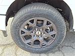 New 2026 Ford F-150 STX Super Cab for sale #T260159 - photo 5