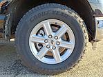 2026 Ford F-150 SuperCrew Cab 4WD Pickup for sale #T260233 - photo 5