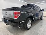 Used 2013 Ford F-150 Platinum+ SuperCrew Cab for sale #16821 - photo 12