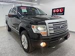 Used 2013 Ford F-150 Platinum+ SuperCrew Cab for sale #16821 - photo 2