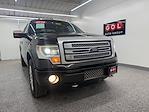 Used 2013 Ford F-150 Platinum+ SuperCrew Cab for sale #16821 - photo 3