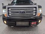 Used 2013 Ford F-150 Platinum+ SuperCrew Cab for sale #16821 - photo 4