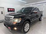 Used 2013 Ford F-150 Platinum+ SuperCrew Cab for sale #16821 - photo 6