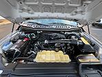 Used 2020 Ford F-150 XL Regular Cab for sale #RSE09007 - photo 10