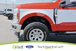 2025 Ford F-250 Regular Cab 4WD Pickup for sale #40410R - photo 11