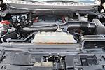 2024 Ford F-150 SuperCrew Cab 4WD Pickup for sale #52090941R - photo 38