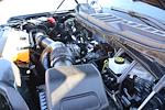 2024 Ford F-150 SuperCrew Cab RWD Pickup for sale #52542141R - photo 35