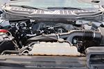 2024 Ford F-150 SuperCrew Cab RWD Pickup for sale #56084751R - photo 33