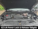 2024 Chevrolet Silverado 1500 Crew Cab 4WD Pickup for sale #B5G043511A - photo 22