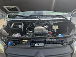 2025 Mercedes-Benz Sprinter 2500 High Roof RWD Passenger Van for sale #B5V225533 - photo 20
