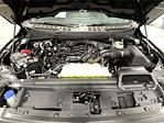 2025 Ford F-150 Regular Cab 4x4 Pickup for sale #SKF05001 - photo 21