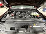 New 2026 Ford F-250 XL Crew Cab for sale #TED05826 - photo 21