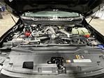 New 2026 Ford F-250 XL Crew Cab for sale #TED44281 - photo 21