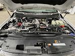 New 2026 Ford F-250 XL Crew Cab for sale #TED48368 - photo 22