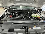 New 2026 Ford F-250 XL Crew Cab for sale #TED61911 - photo 21
