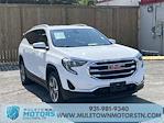 Used 2020 GMC Terrain SLT SUV for sale #M288721TM - photo 4