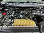 2017 Ford F-150 SuperCrew Cab 4WD Pickup for sale #E01034S - photo 25