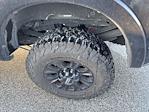 2020 Ford F-250 Crew Cab 4WD Pickup for sale #E01072S - photo 9