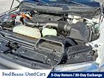 Used 2023 Ford F-150 XLT SuperCrew Cab for sale #E01094P - photo 30