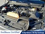 2023 Ford F-150 SuperCrew Cab 4WD Pickup for sale #E504591 - photo 30