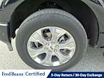 2022 Ford F-150 SuperCrew Cab 4WD Pickup for sale #E505651 - photo 29