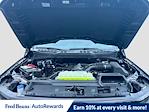 2025 Ford F-150 SuperCrew Cab 4WD Pickup for sale #E50650 - photo 31