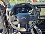 New 2025 Ford F-250 XLT Crew Cab 4x4 Pickup for sale #25435A - photo 31