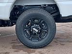 New 2024 Ford F-350 XL Regular Cab 4x4 Plow Truck Western for sale #57943 - photo 13