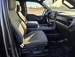 Used 2024 Ford F-150 XLT SuperCrew Cab for sale #P40782 - photo 6