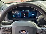 2024 Ford F-150 SuperCrew Cab 4WD Pickup for sale #P42263 - photo 33