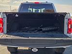 2023 Ford F-150 SuperCrew Cab 4WD Pickup for sale #P96661 - photo 17