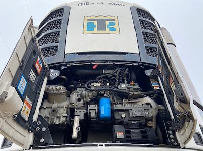 Used 2017 Great Dane - photo 1