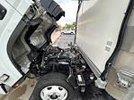 Used 2021 Isuzu NQR Refrigerated Body for sale #163819 - photo 23