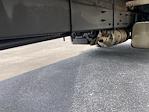 Used 2018 Freightliner M2 106 Conventional Cab Morgan Truck Body Box Truck for sale #177639 - photo 14